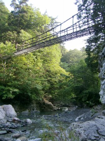 奥祖谷かずら橋