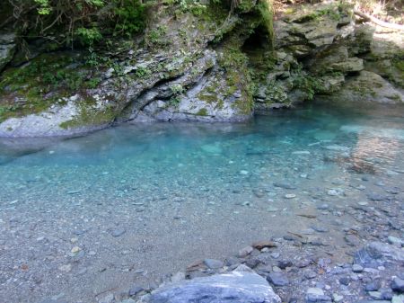 奥祖谷かずら橋