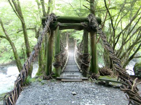 奥祖谷かずら橋