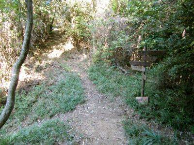 広島南アルプス