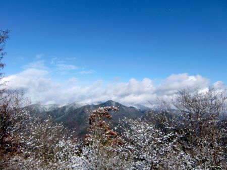 鬼ヶ城山、白木山