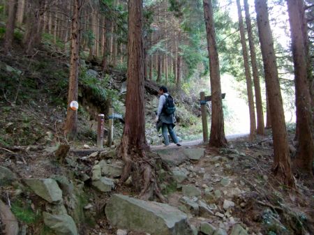 どんどんコース