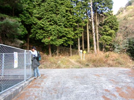 どんどんコース