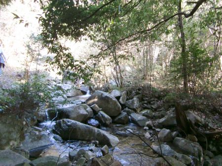 どんどんコース