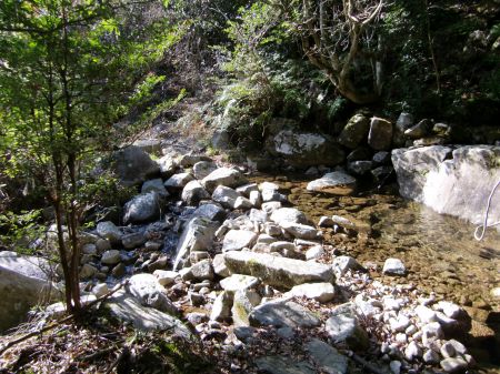 どんどんコース