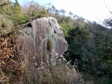どんどんコース