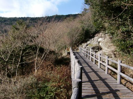 どんどんコース