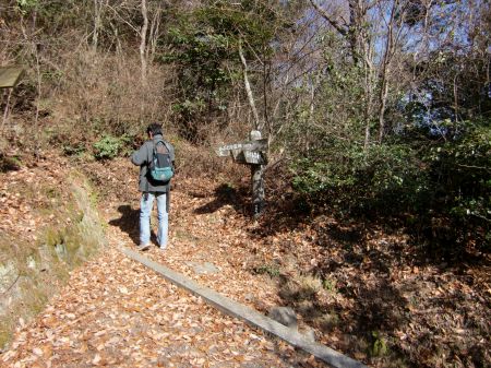 どんどんコース