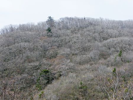 東赤石山
