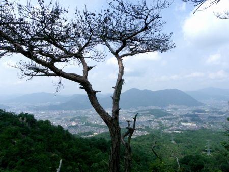 男天狗より阿武山