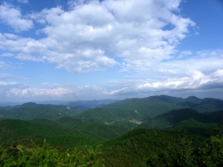 東鳳翩山