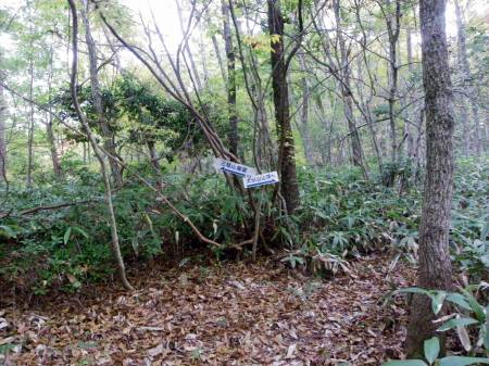 三瓶山展望地分岐