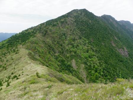 権現越から東赤石山へ