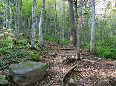 クロソン岩分岐