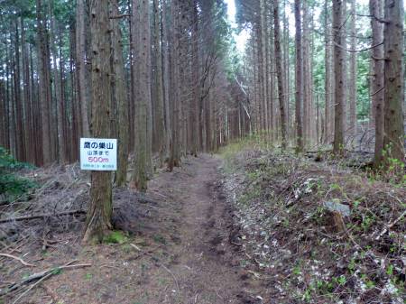 鷹ノ巣山