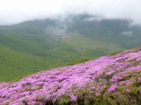 平治岳から坊ガツル！