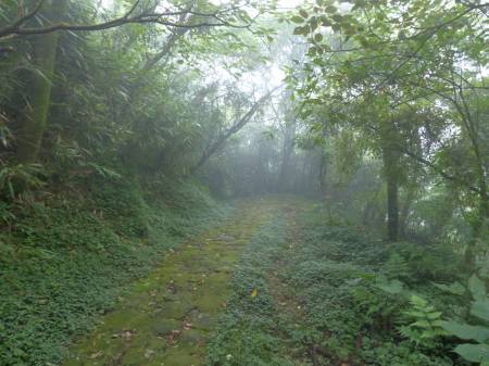 陽金公路人車分道