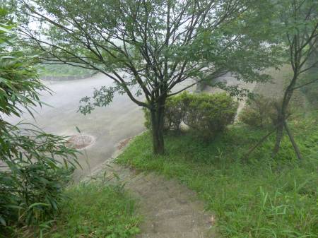 陽金公路人車分道