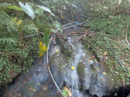 陽金公路人車分道