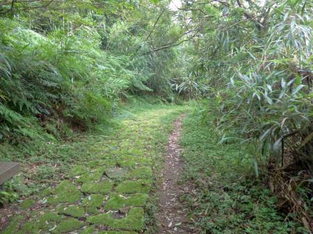 陽金公路人車分道