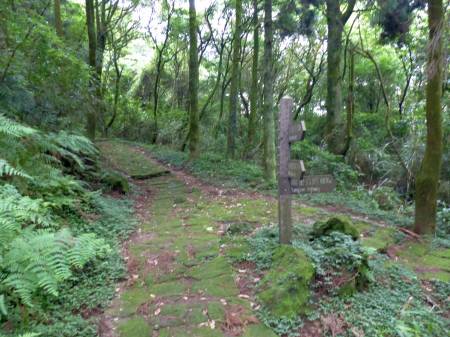 陽金公路人車分道
