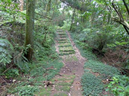 陽金公路人車分道