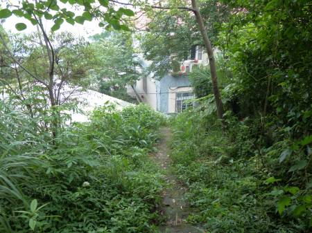 陽金公路人車分道