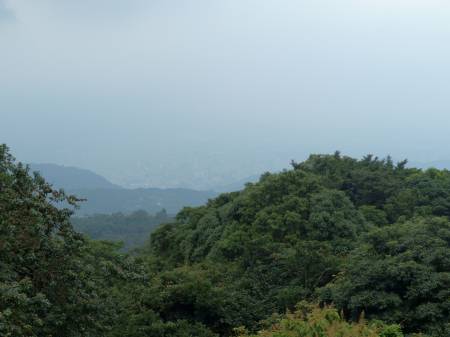 陽金公路展望台