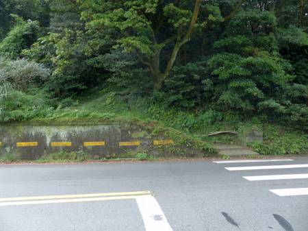 陽金公路人車分道