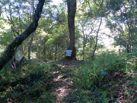 展望台コース分岐