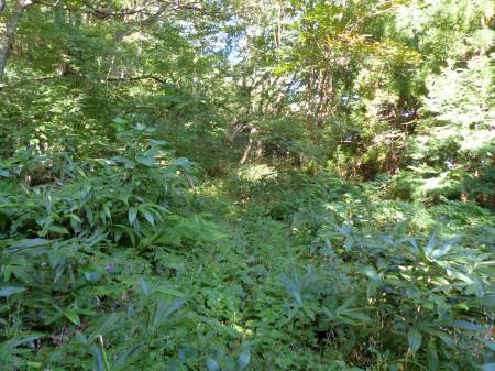 森林鉄道軌道跡