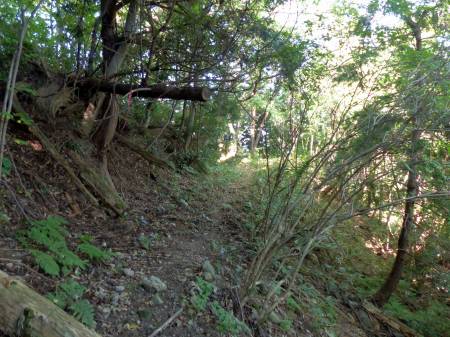 森林鉄道軌道跡