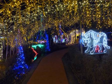 イルミネーション