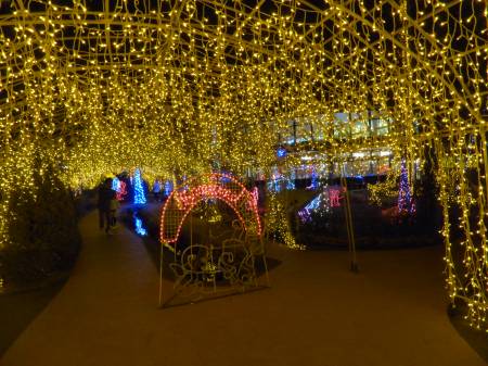 イルミネーション