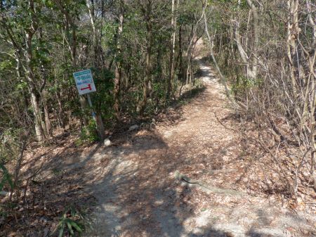 早稲田小学校口分岐