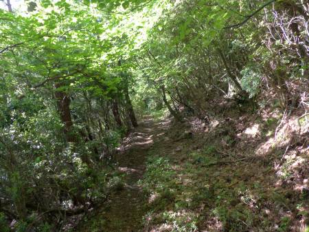 銅山峰ヒュッテ