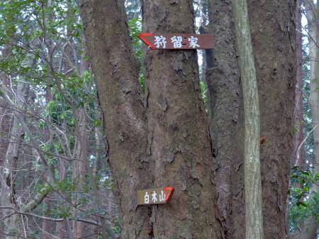 白木山