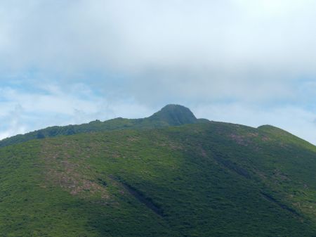 ミヤマキリシマ