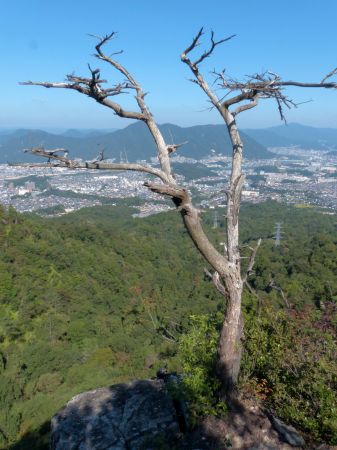 二ヶ城山