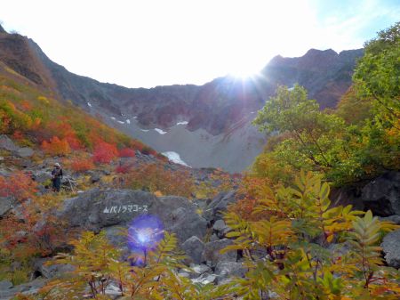 パノラマコース分岐