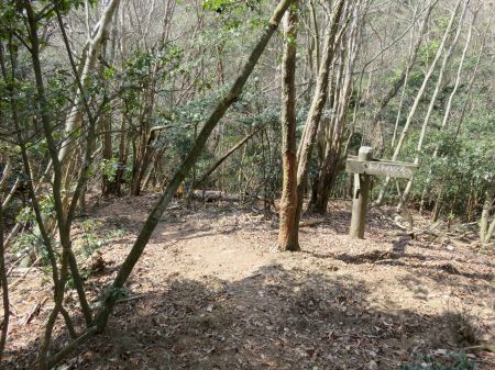 緑化センター分岐