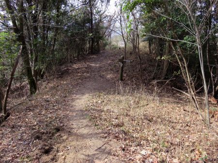 菰口憩の森分岐