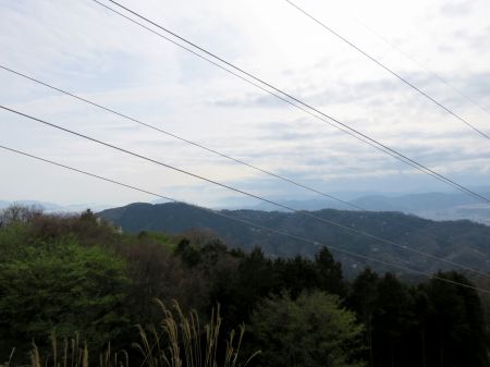 松笠山