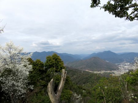 二ヶ城山