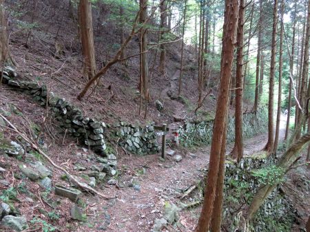 柳谷・馬の背分岐