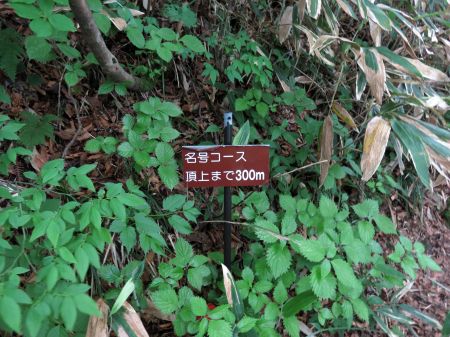 名号コース