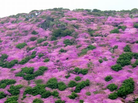 昨年からの復活を果たす
