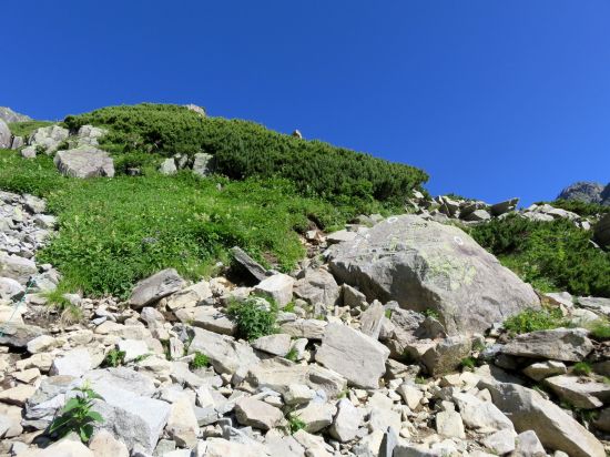 ザイテングラート