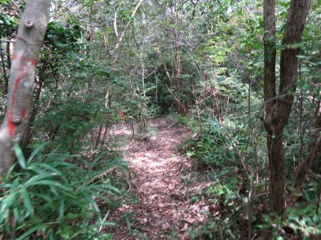 不動院口コース