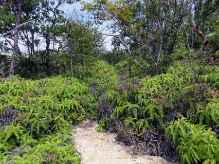 不動院口コース